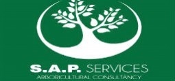SAPS Consulting Services
